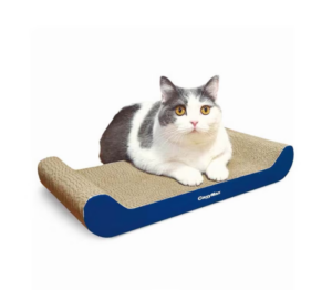 Bàn Cào Móng Mèo Giấy CattyMan