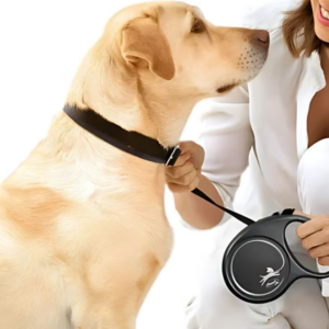 Dây Dắt Bấm Tự Động Cho Chó Flexi