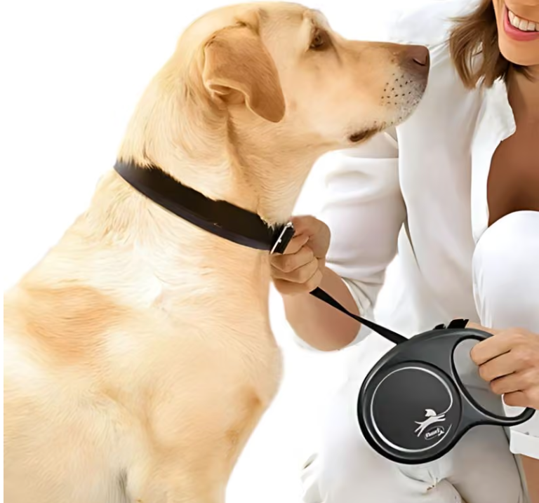 Dây Dắt Bấm Tự Động Cho Chó Flexi Đức Chính Hãng Dây Dắt Bấm Tự Động Cho Chó Flexi